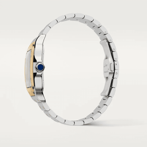 【Super Clone】SANTOS Gold Mix 39mm