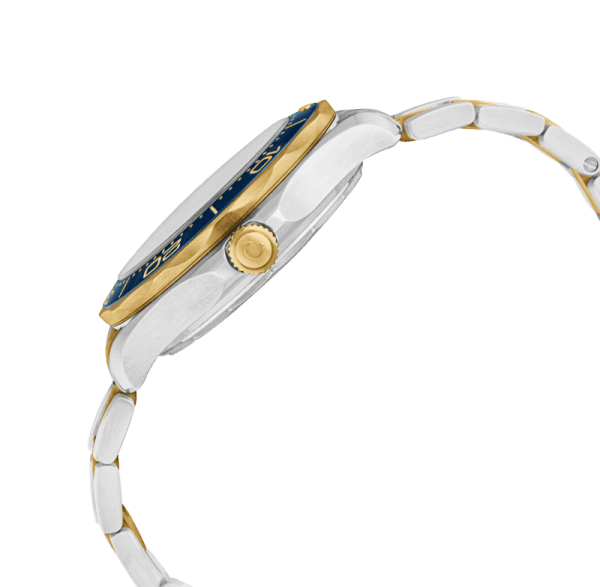 【Super Clone】Omega 210.20.42.20.03.001 Seamaster Diver 300m Co-Axial-Maste - New
